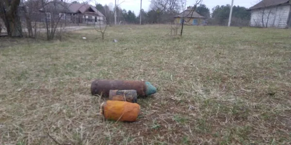 На Волині лісівники знайшли старі гранати і бомбу (фото)