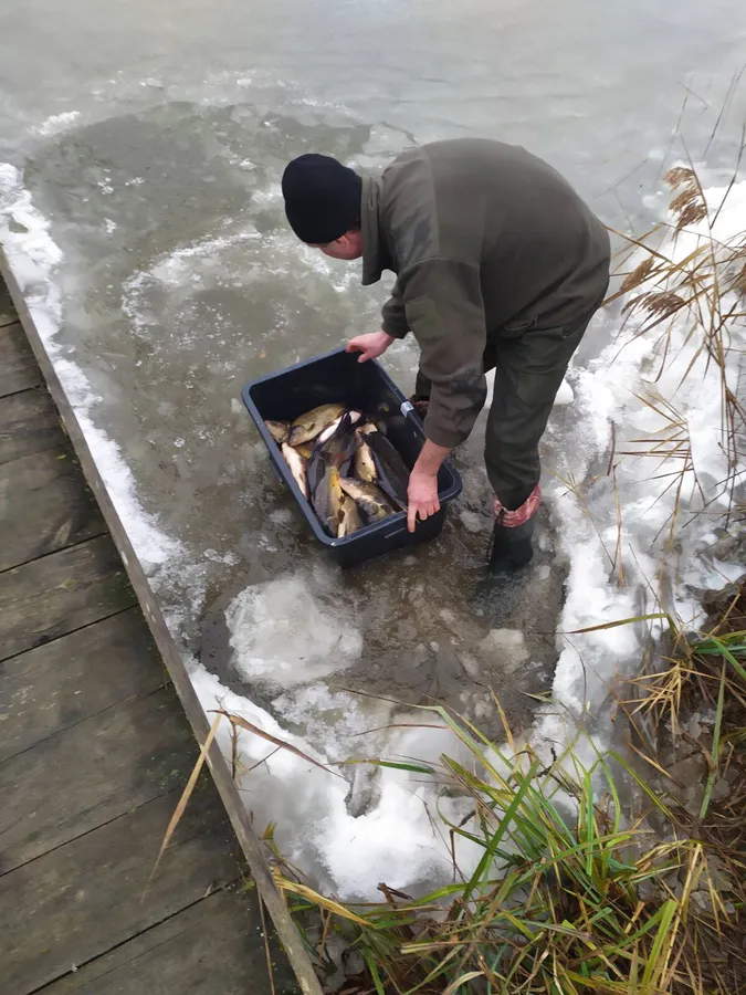 У водосховище на Волині запустили понад дві тонни риби (фото)
