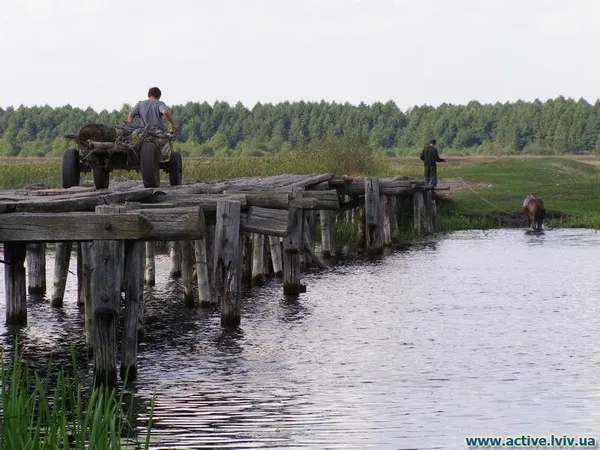 «Ні риби, ні води»: легендарне «щуче» озеро на Волині вкрилося водоростями (відео, фото)