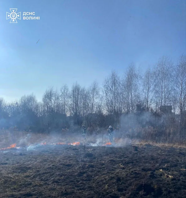 Волинь палає: тільки за день трапилося 6 пожеж сухостою (фото)