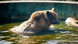 Хмарно та без опадів: погода в Луцьку в четвер, 4 квітня
