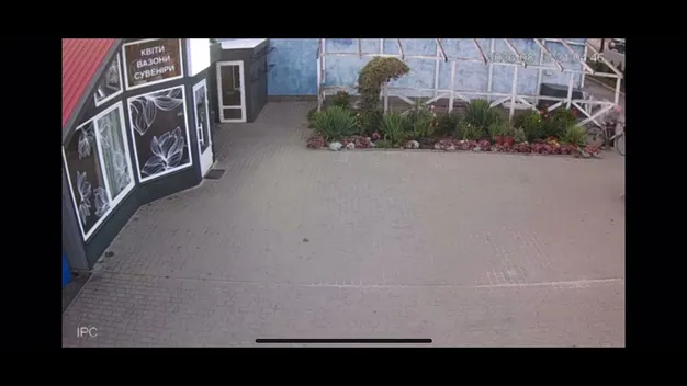 У Шацьку жінка безсоромно обчистила клумбу біля квіткового магазину (відео)