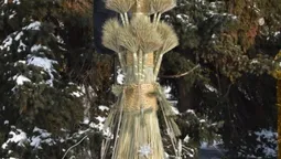 На Театральному майдані в Луцьку вперше встановили Різдвяного Дідуха (фото)