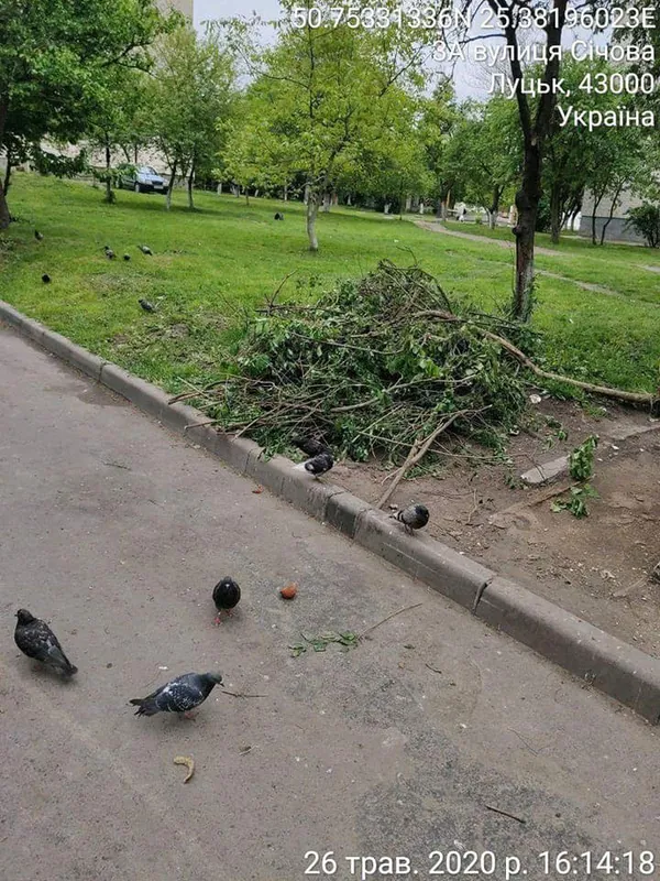 На вулицях Луцька – гори сміття (фото)