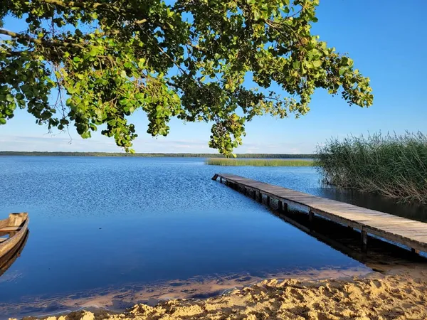 Серед лісу на Поліссі – глибоке містичне озеро, в якому водяться двометрові вугрі (фото)