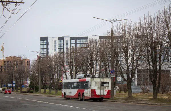 Вулицями Луцька курсує унікальний тролейбус (фото)