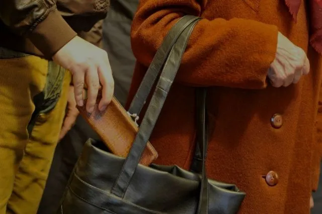 Транспортний злодій: львів'янин обікрав 15 лучан