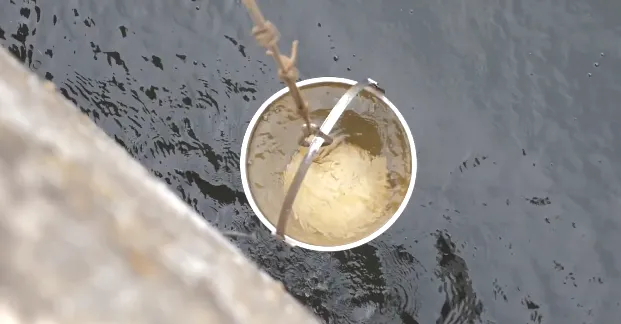 Риба – дохне, а проби води – у нормі: що коїться у річці під Луцьком