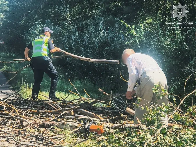 На Волині патрульні допомогли лісничим розчистити дорогу від поваленого дерева