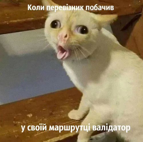 Ждун та є-білєт: меми щодо запровадження електронного квитка у Луцьку (фото)