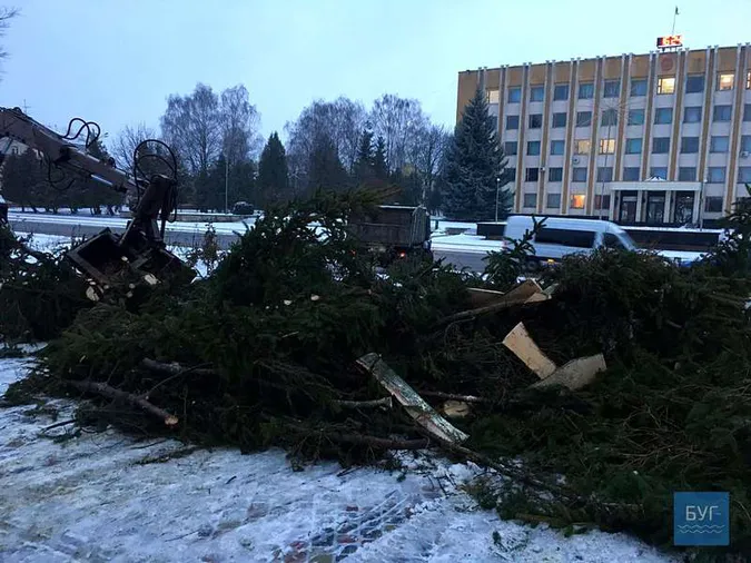 Показали, як падала новорічна ялинка в Нововолинську (відео)