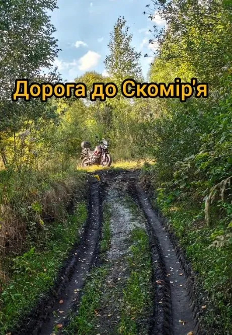 Серед лісу на Поліссі заховалося озеро з піщаним берегом, де журавлі готуються до відльоту (фото, відео)