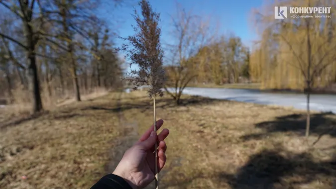 Весна у Луцьку: атмосферні фото залитого сонцем міста