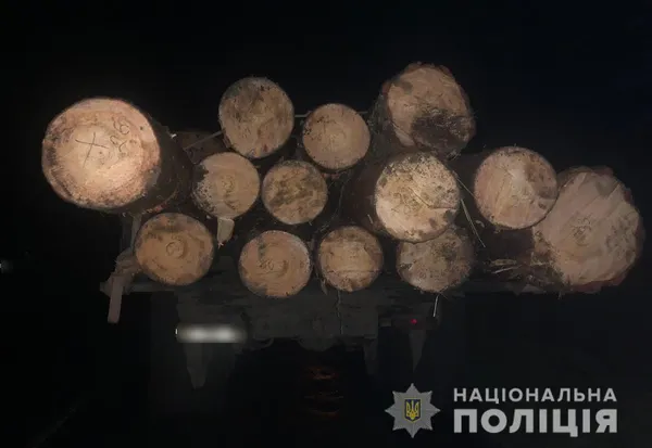 Дуби у «крайслері», сосни на КамАЗі: на Волині зловили крадіїв лісу (фото)