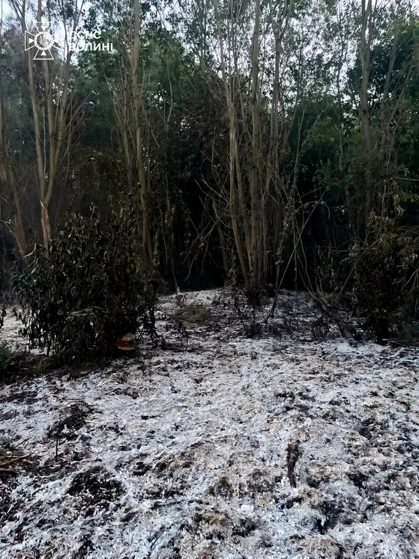 У розпал спеки на Волині побіліла земля: що за аномалія коїться (фото)