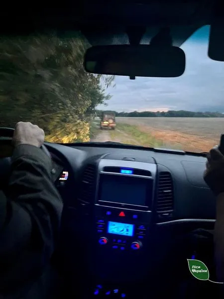 У лісі на Волині забили самця козулі (фото)