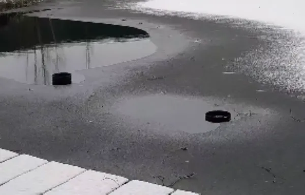 Стирчать труби і не бурлить вода: на Волині зникли унікальні Оконські джерела (фото, відео)