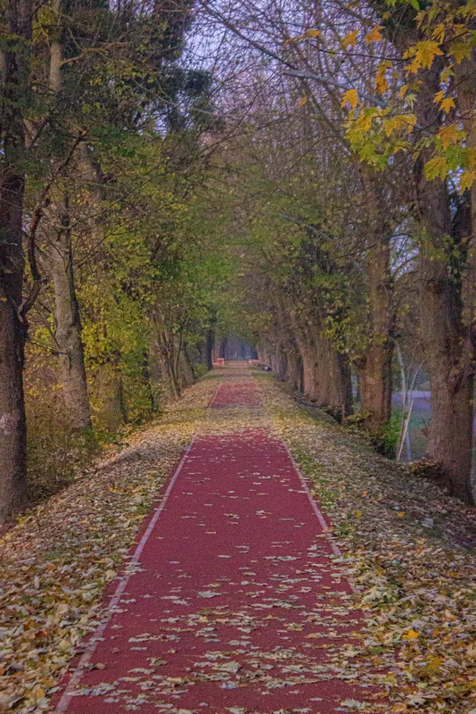 Мережу зачарували атмосферними світлинами ранкового Луцька (фото)