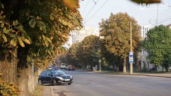 Квіти, песики, каштани: Дубнівська у Луцьку восени (фото)