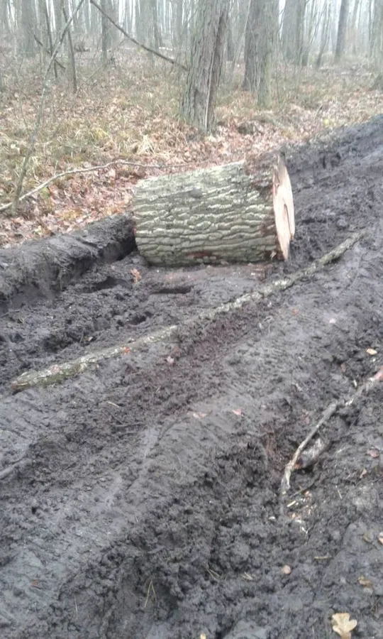 На Волині джип браконьєрів застряг у багнюці (фото)