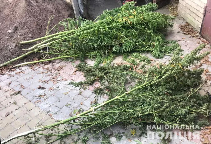 У Ківерцівському районі чоловік сушив у гаражі пів кілограма конопель (фото)