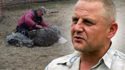 Від двох пар овець до великої отари: як господар з Волині розвиває вівчарство (фото, відео)