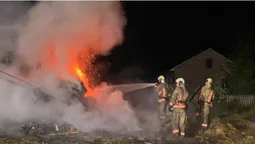 На Волині невідомий вночі підпалив хлів з конем (фото)