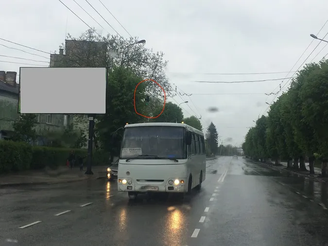 У Луцьку дорожні знаки і світлофори «тонуть» у деревах