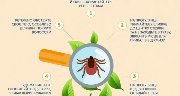 Хвороба Лайма і кліщовий енцефаліт: де на Волині найбільше заражених кліщів
