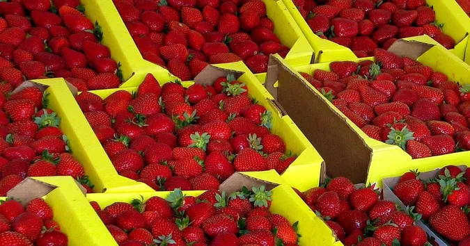 Безпечна норма полуниці: дієтологиня розповіла, скільки грамів на день можна її їсти