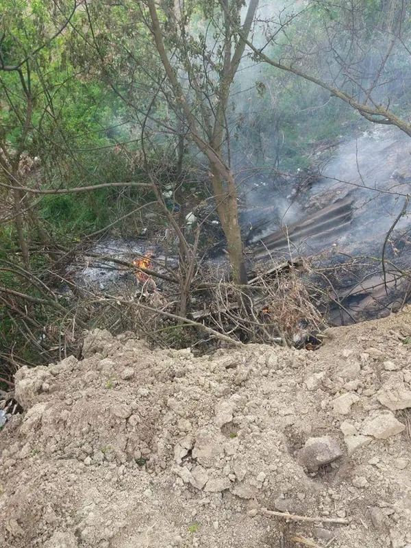 У Луцьку через підпал сміття зайнялися дерева та кущі (фото)