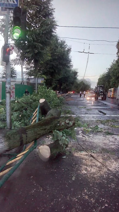 Що наробила негода в Луцьку (фото, відео)