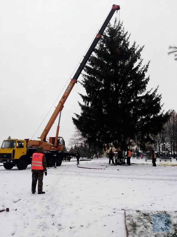 Зависока: у Нововолинську новорічна ялинка не витримала і обвалилася (фото)
