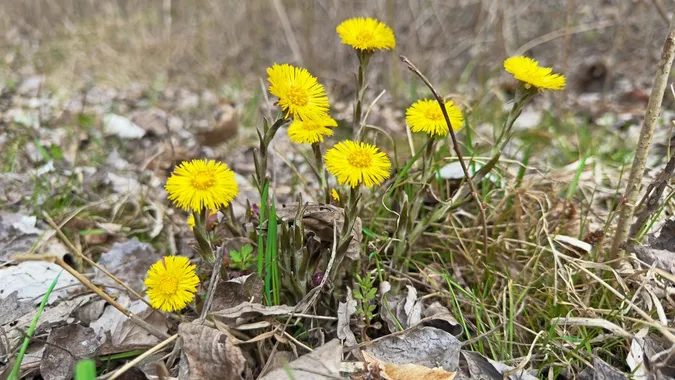 Фото: Суспільне