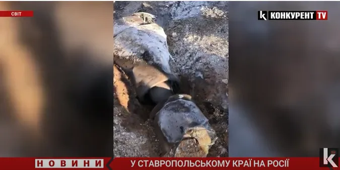 Кажуть, що НЛО: у Ставропольському краї на росії впала ракета «Кинджал» (відео)