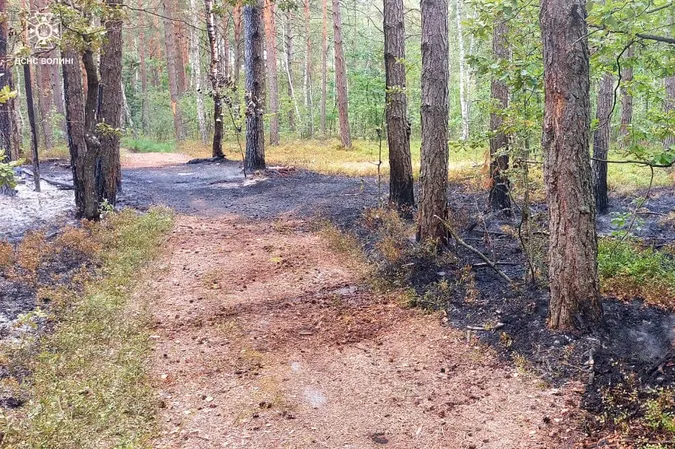 У Луцькому районі невідомі підпалили ліс – він горів пів дня