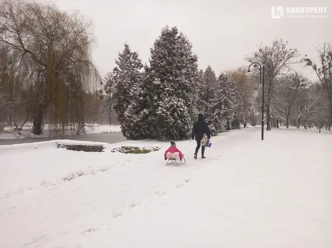 Сніжно і безлюдно: зима у Центральному парку Луцька (фото)