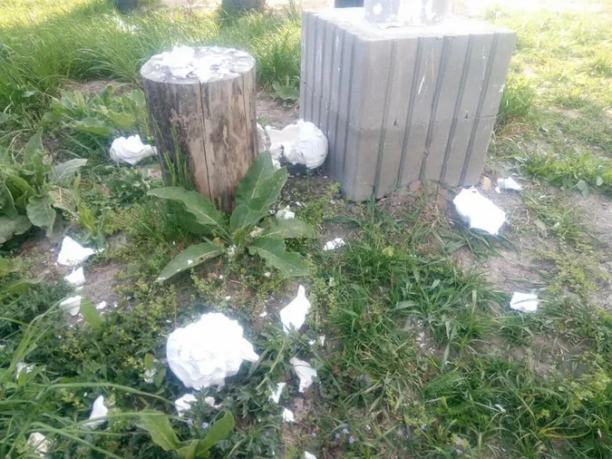 Вандали розгромили парк поблизу Луцька (фото)