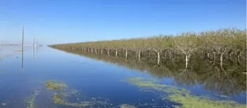 Озеро-привид повернулося після 130 років: вода затопила величезну територію