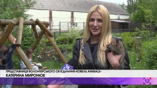Волинянка врятувала лисенят від продажу на притравочну станцію (відео)