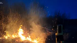 Волинь палає: за добу сталося 16 пожеж (фото)