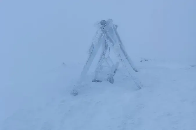 🌨 Зима повертається: у Карпатах випав сніг та вдарив мороз -8°C