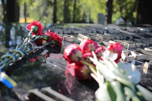 Квіти, пісні та ветерани: у Луцьку відзначили День перемоги (фото)