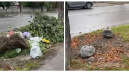 Сміття просто на вулиці: у Луцьку скаржаться на стихійні звалища (відео)