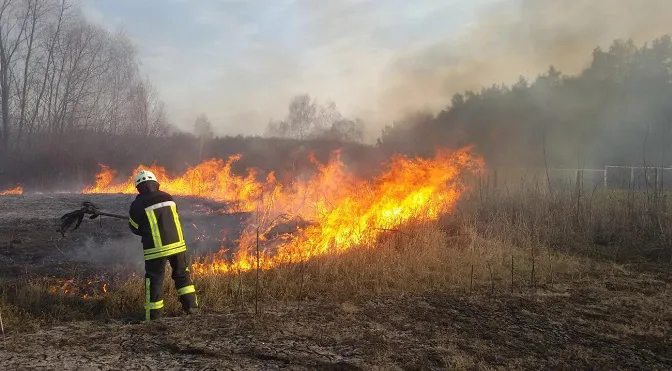 На Волині невідомі підпалили гектар сухої трави
