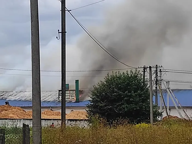 Неподалік Луцька – пожежа: працюють 4 рятувальні авто (відео)