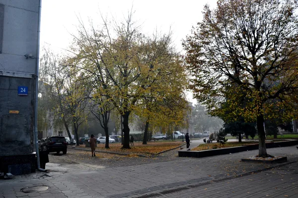 Ранковий Луцьк у тумані (фото)