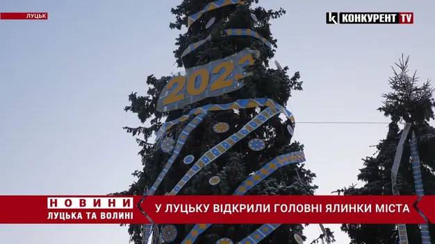 Без ілюмінації та яскравих іграшок: у Луцьку урочисто відкрили головні ялинки міста (відео)