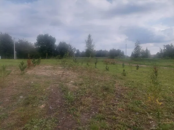 У Хорлупах на місці закинутого складу заклали новий сквер (фото)