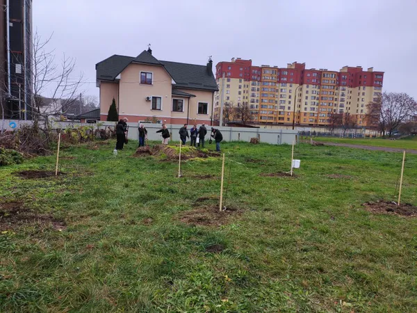 Парки, сквери, вулиці: у Луцькій громаді восени висадили 254 дерева та 285 кущів (фото)